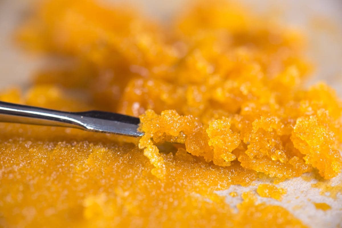 An oil extract transformed into a dry powder with NanoSil